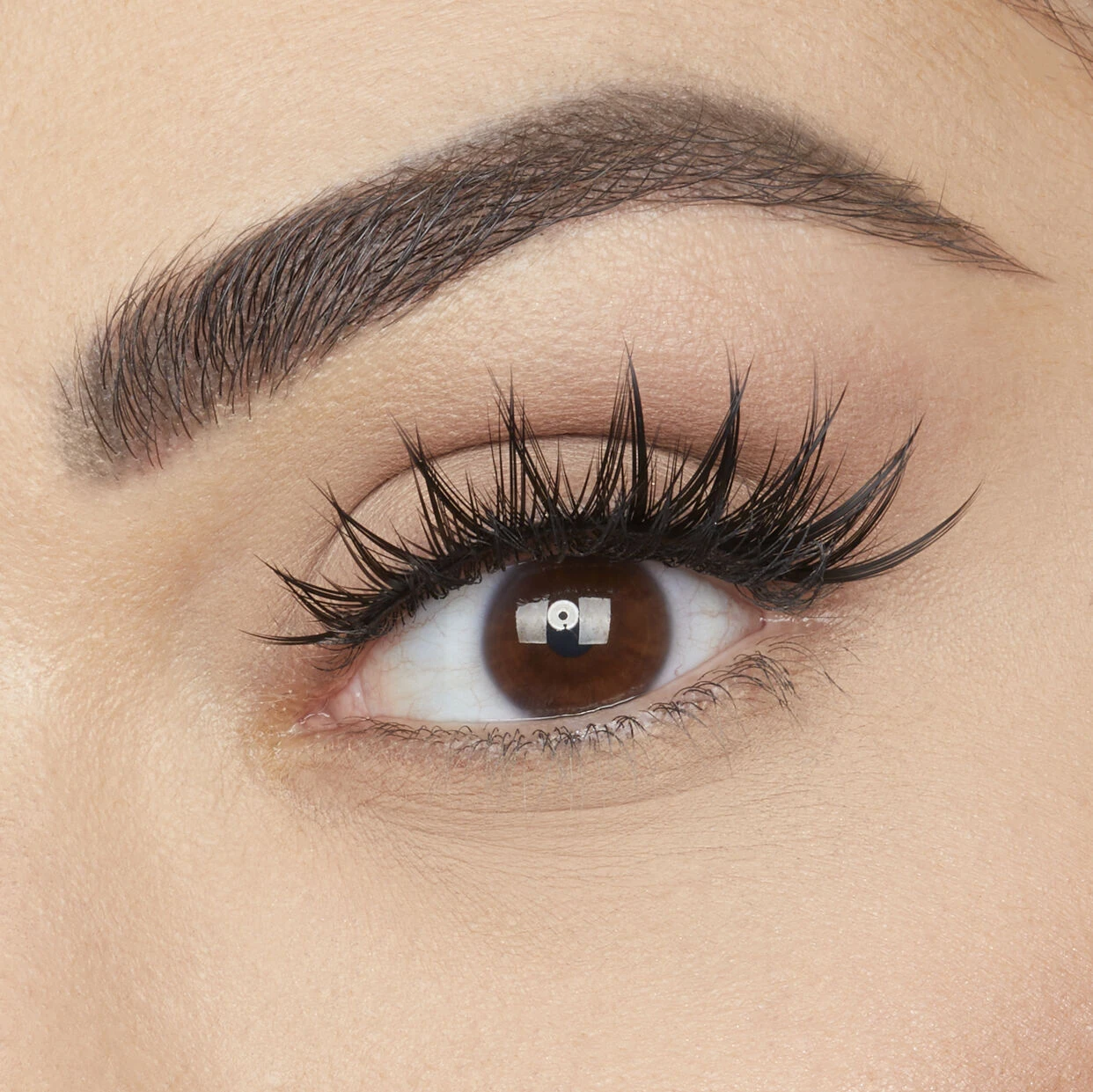 Classic False Lash - Sasha #11 2 Classic False Lash - Sasha #11 - Image 2