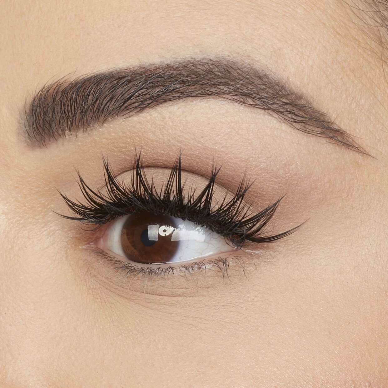 Classic False Lash - Sasha #11 4 Classic False Lash - Sasha #11 - Image 4